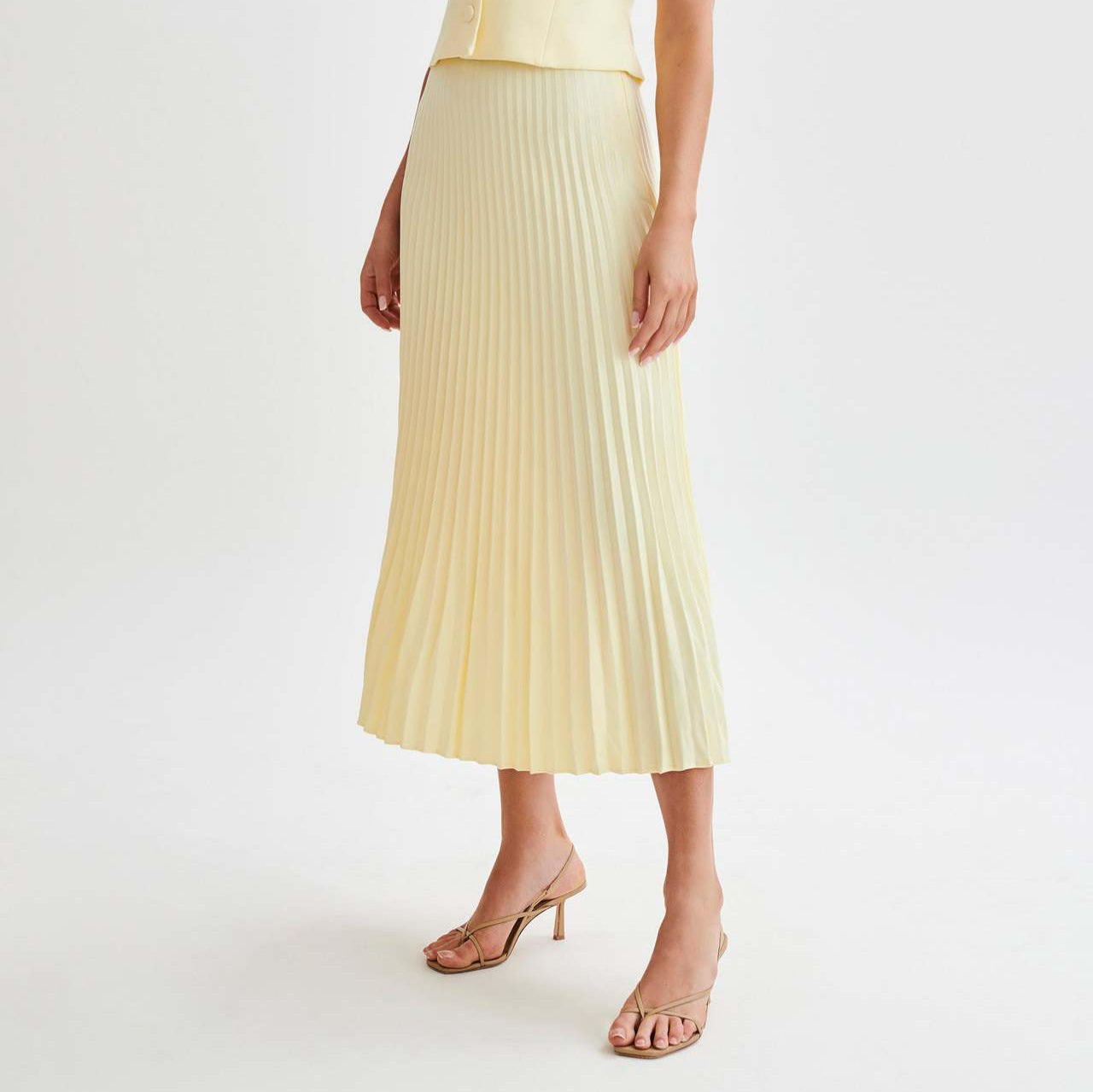 Pleated Skirt