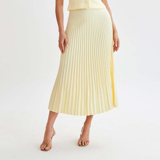 Pleated Skirt