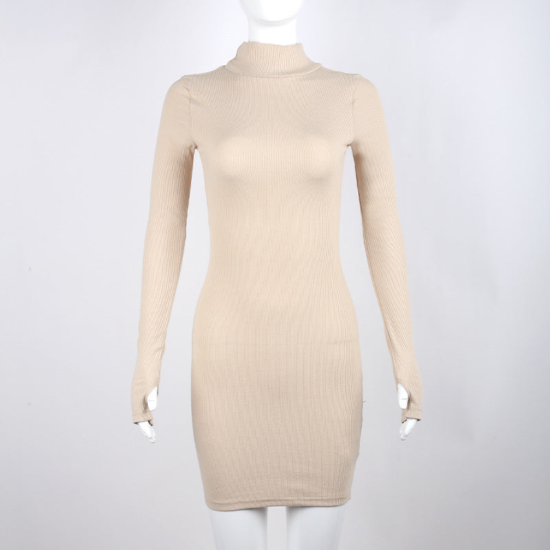 Turtleneck Sheath Dress