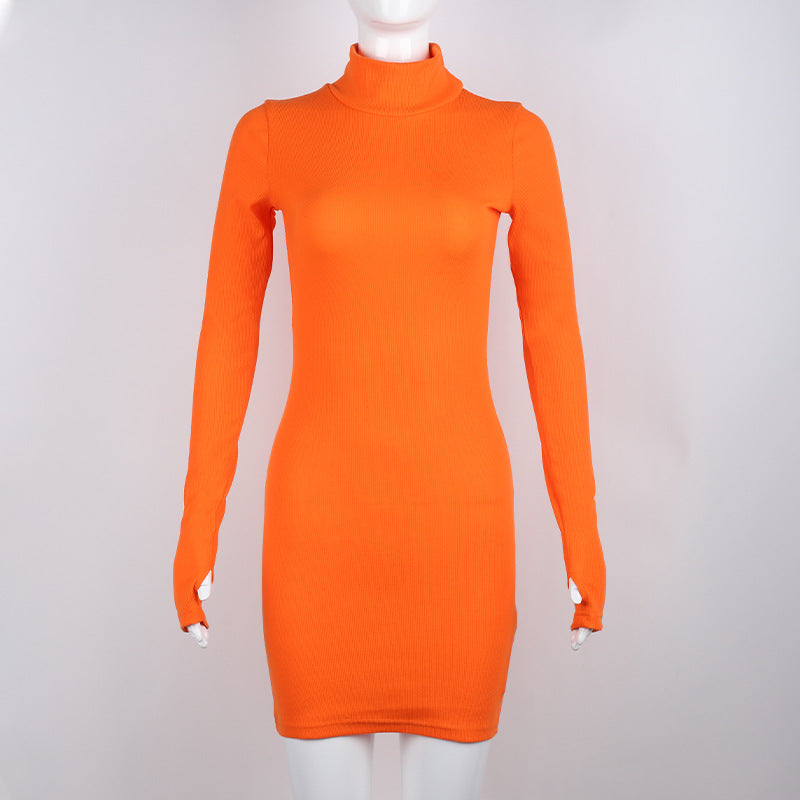 Turtleneck Sheath Dress